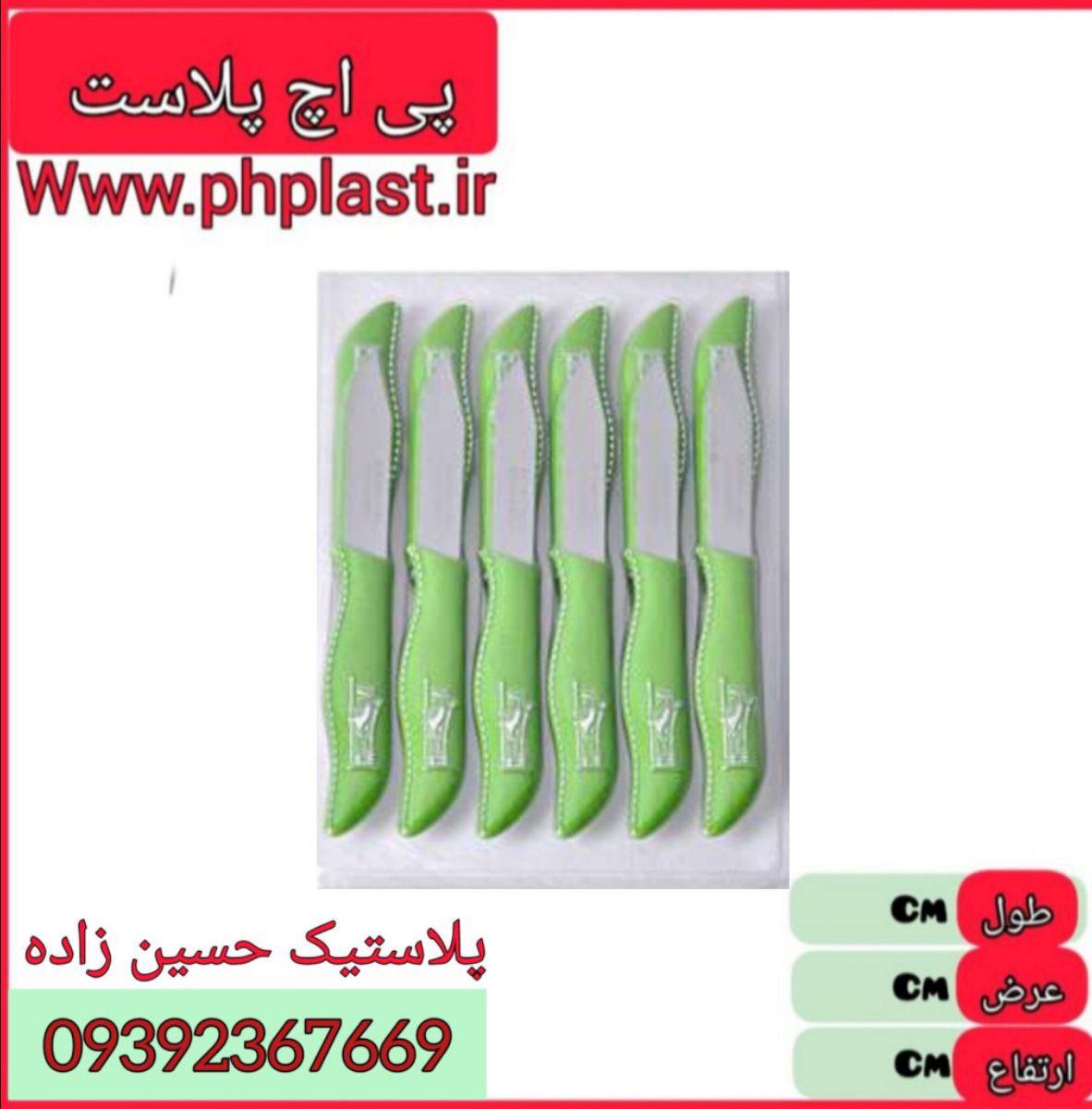 چاقو هخامنش 12 عددی  
