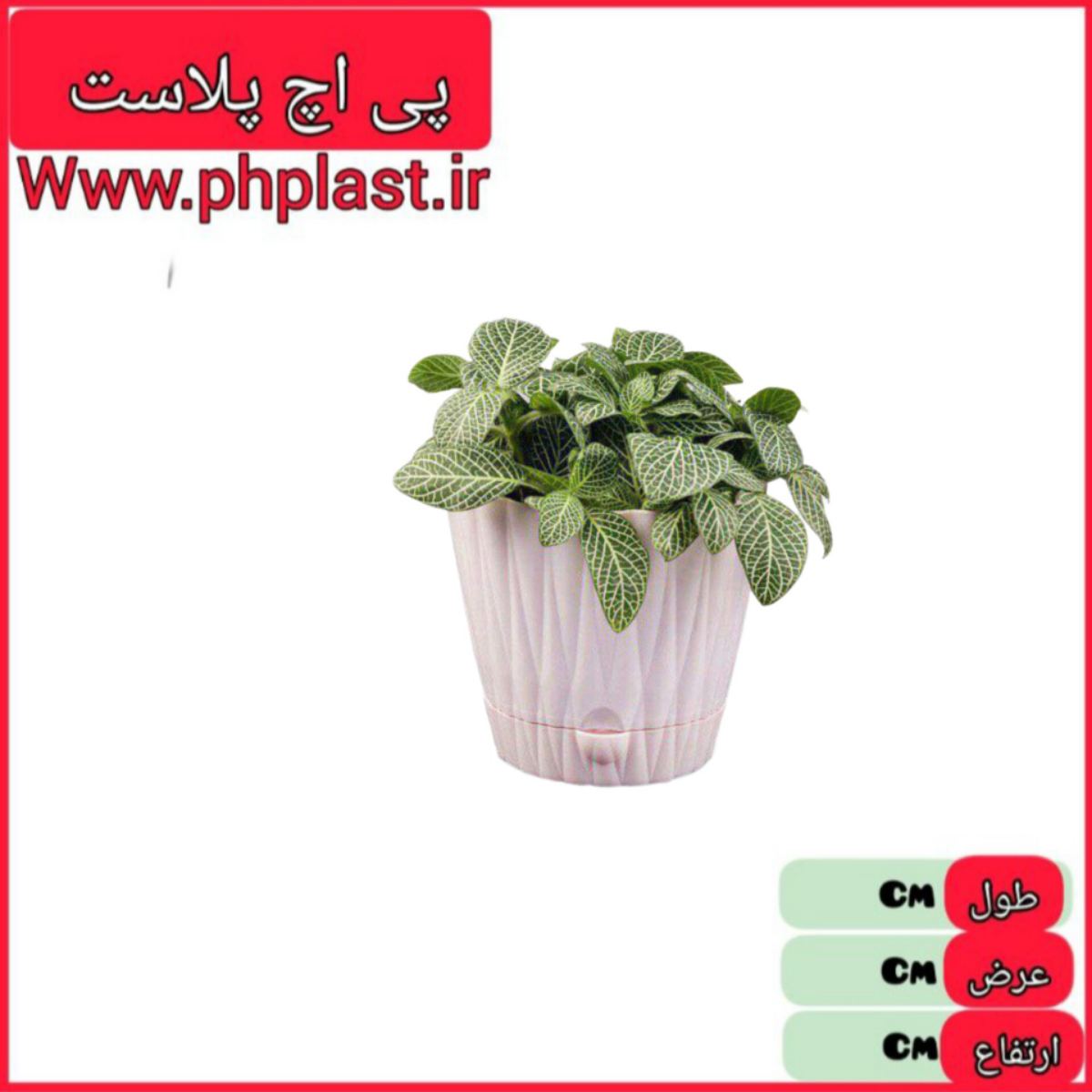 گلدان الماس سایز 5 پلی نیک  