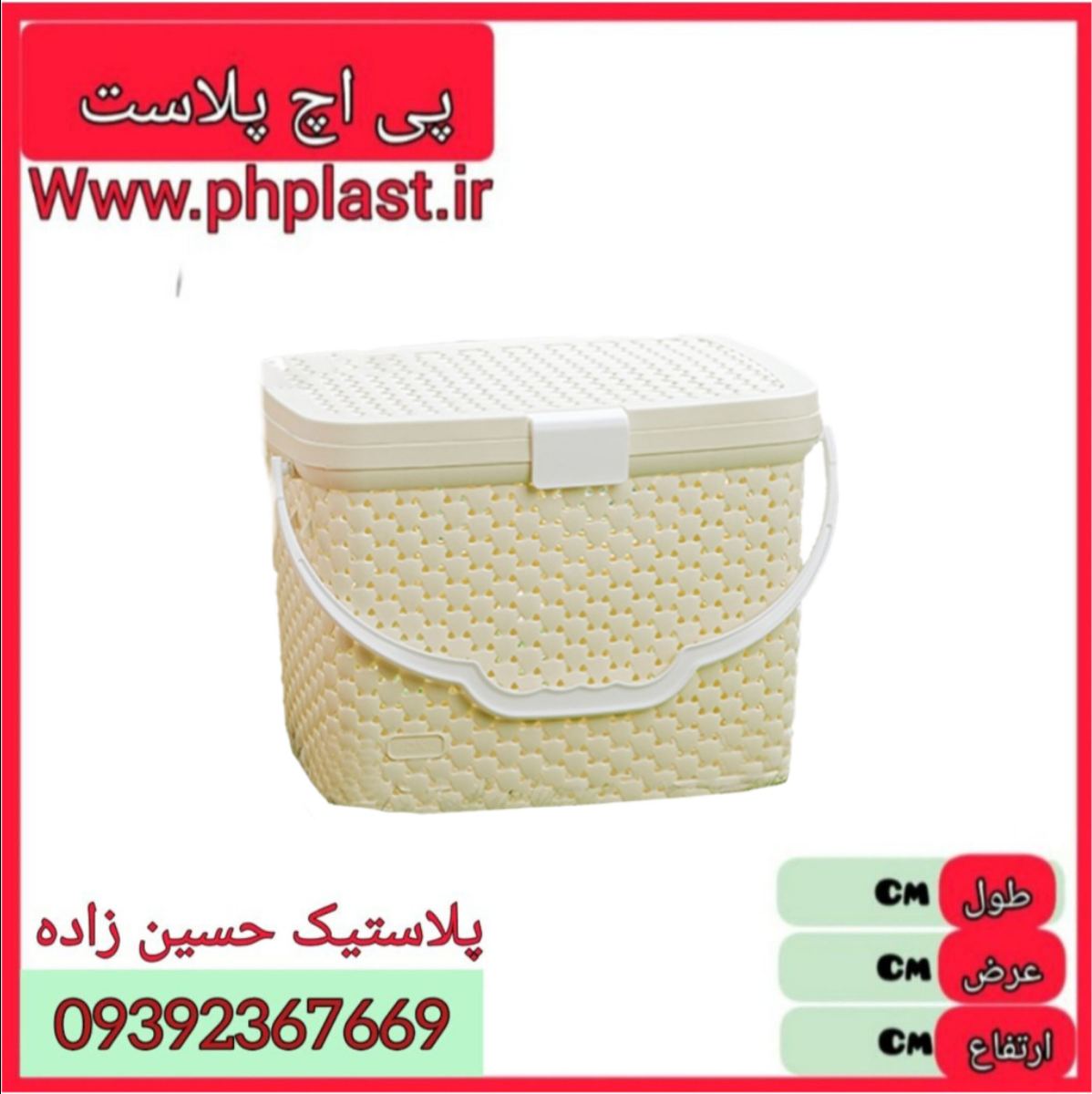 سبد پیک نیک کوتاه پالرمو 1041 اکسون 4ع 